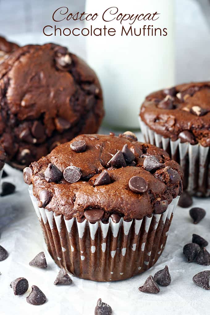Double Chocolate Muffins (Costco Copycat Recipe)