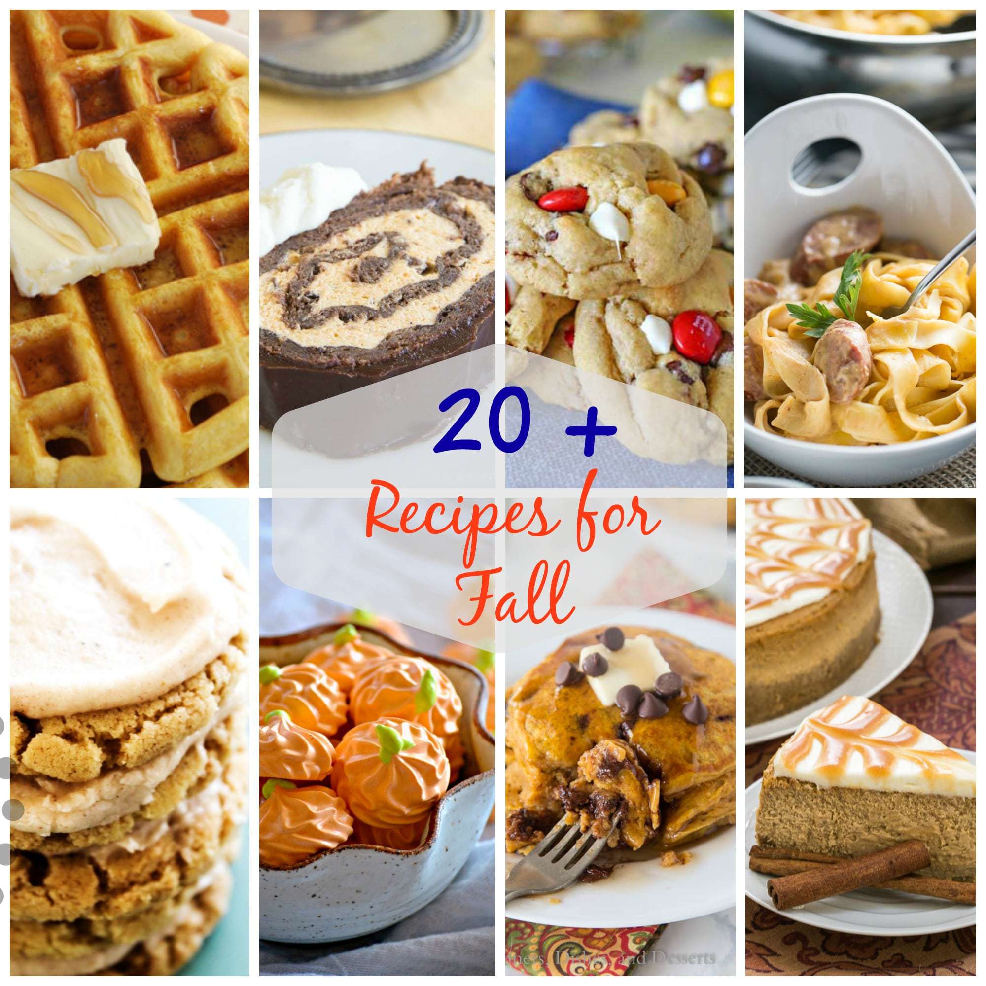 20+ Thanksgiving Dinner Ideas - The Recipe Rebel