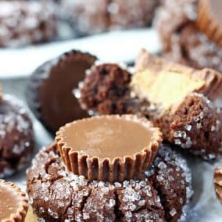 Chocolate Peanut Butter Cup Blossoms