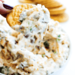 5 Minute Fully Loaded Ranch Dip